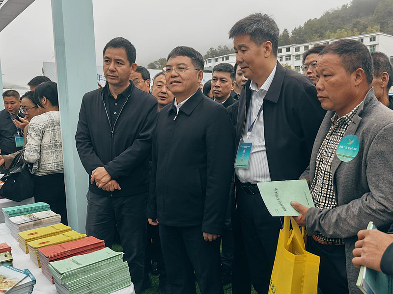微扑克