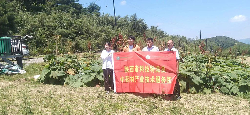 微扑克