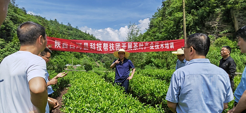 微扑克