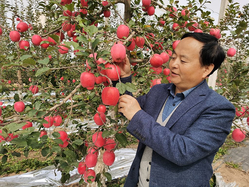 微扑克
