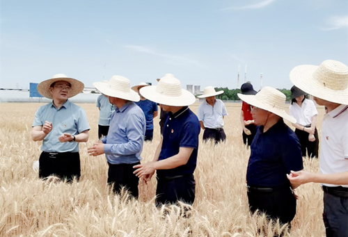 1654068281459066975.jpg 微扑克