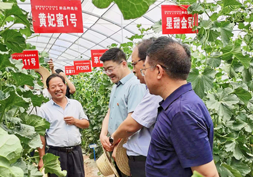 1654068334610069764.jpg 微扑克