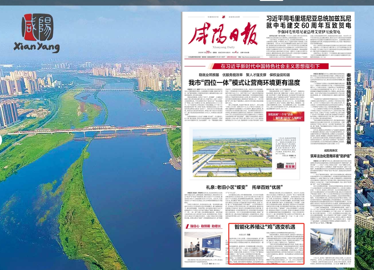 微扑克