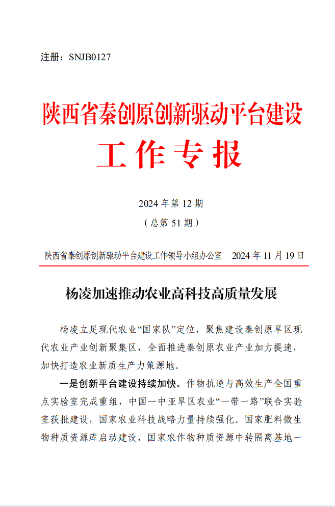 微扑克