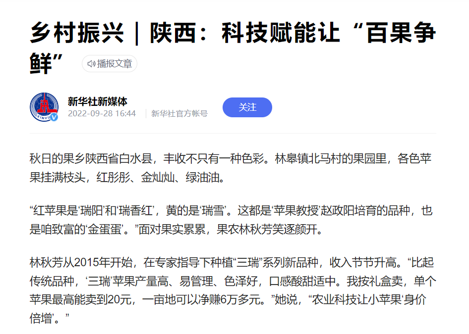 微扑克