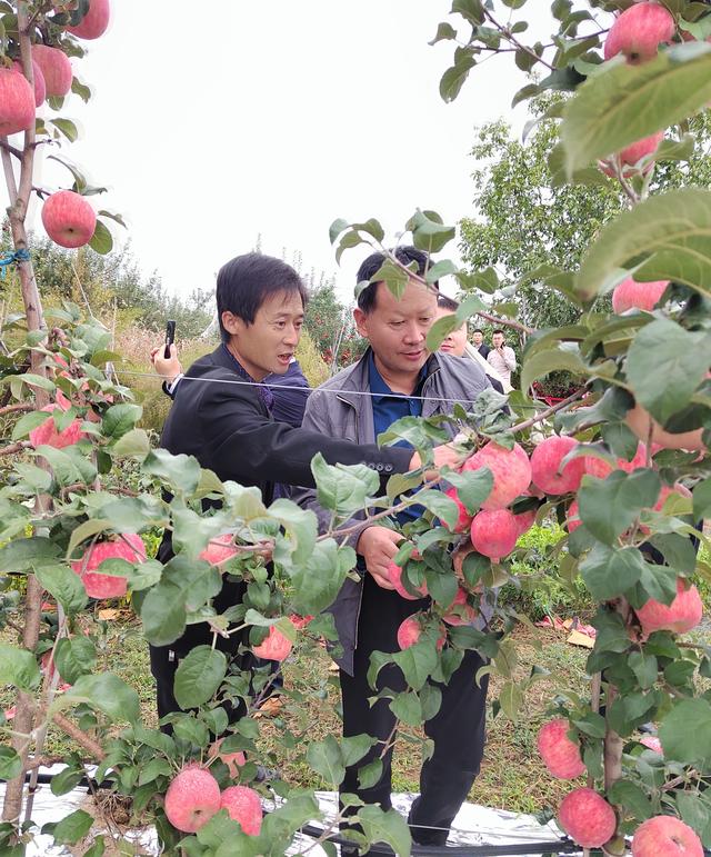 微扑克